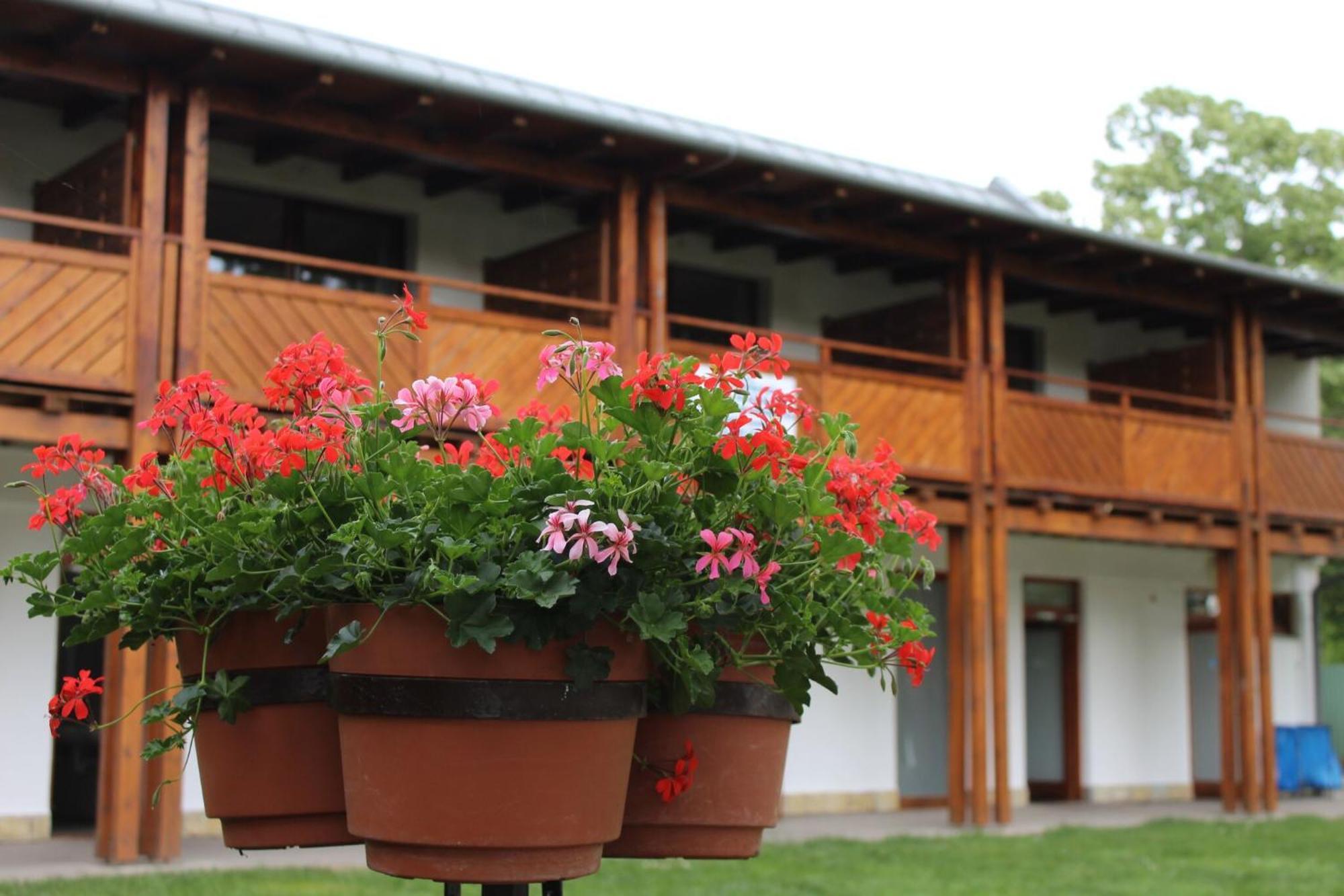 Foeveny Apartmanok Balatonfůzfő Dış mekan fotoğraf